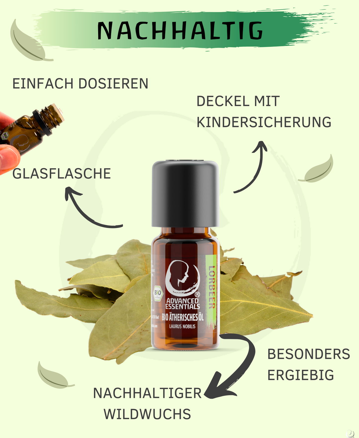 BIO Lorbeeröl (Laurus nobilis)