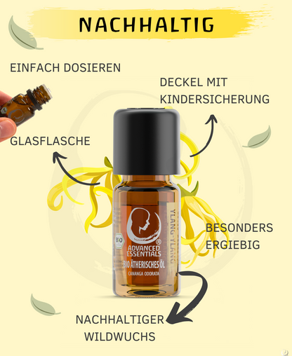 BIO Ylang ylang complete Öl (Cananga odorata)