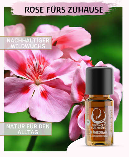 BIO Rosengeranienöl (Pelargonium graveolens)