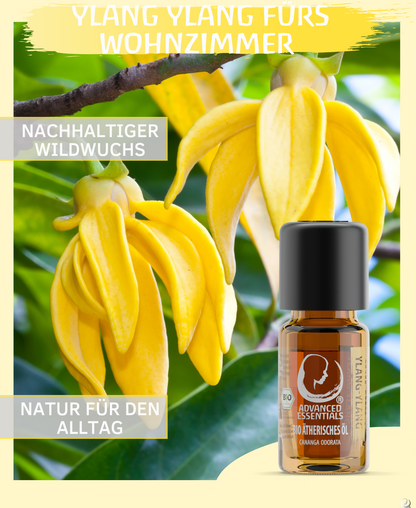 BIO Ylang ylang complete Öl (Cananga odorata)