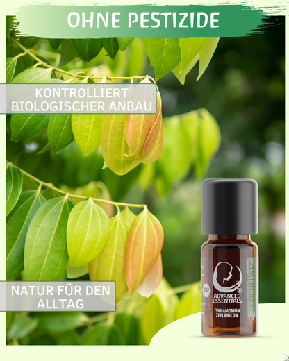 BIO Zimtblattöl (Cinnamomum zeylanicum) kontrolliert biologischer Anbau ätherisches Zimtblattöl bio aus Sri Lanka (Zimtblatt, 10ml)