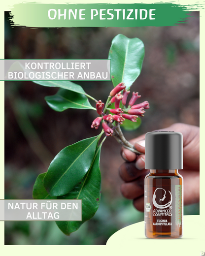 BIO Nelkenstängelöl ätherisches Öl (Euginia cariophyllata) kontrolliert biologischer Anbau Nelkenstängelöl bio aus Sri Lanka (Nelke, 10ml)