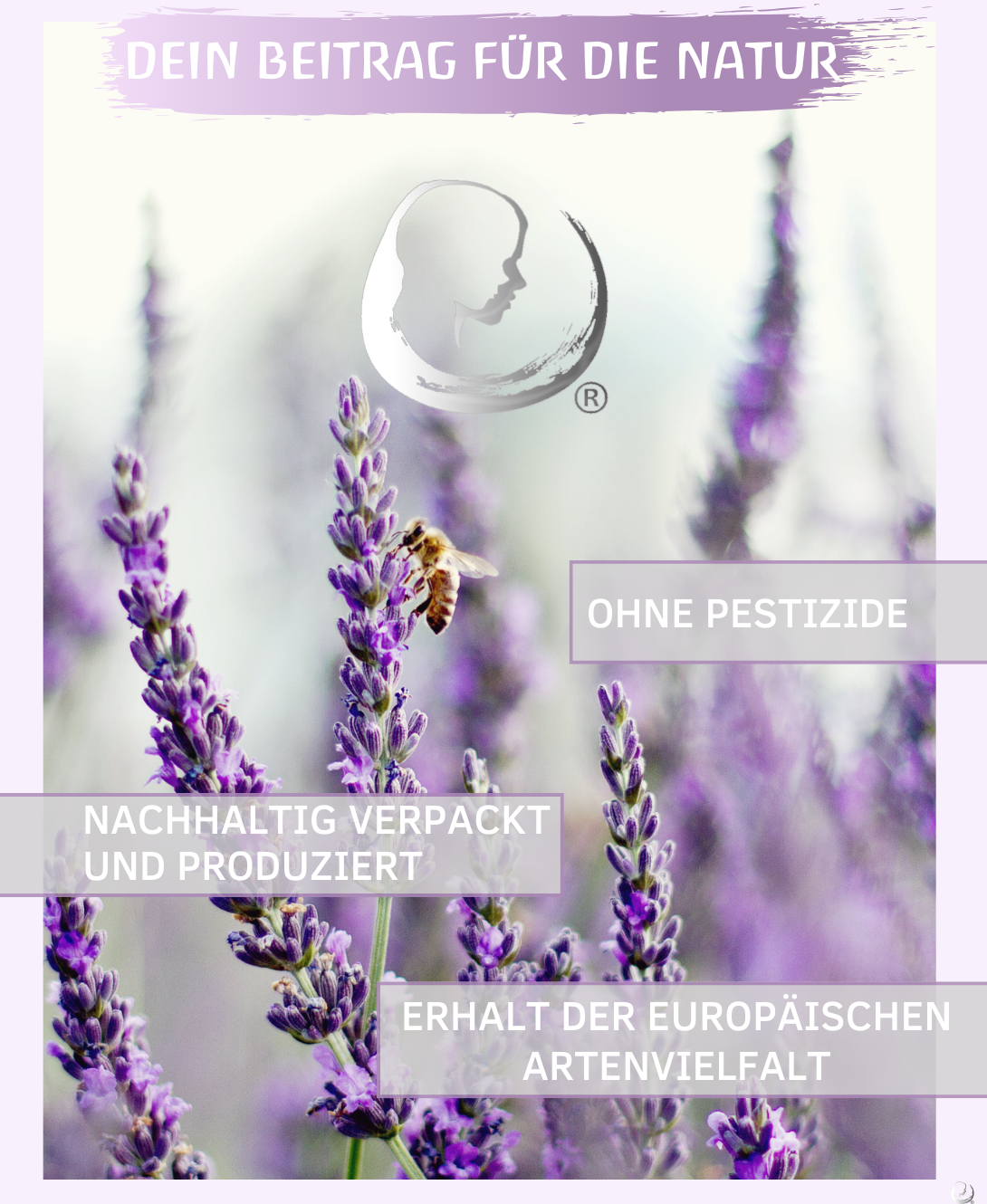 BIO Lavendelöl ätherisches Öl (Lavandula angustifolia) kontrolliert biologischer Anbau Lavendelöl bio aus Bulgarien (Lavendel, 30 ml)