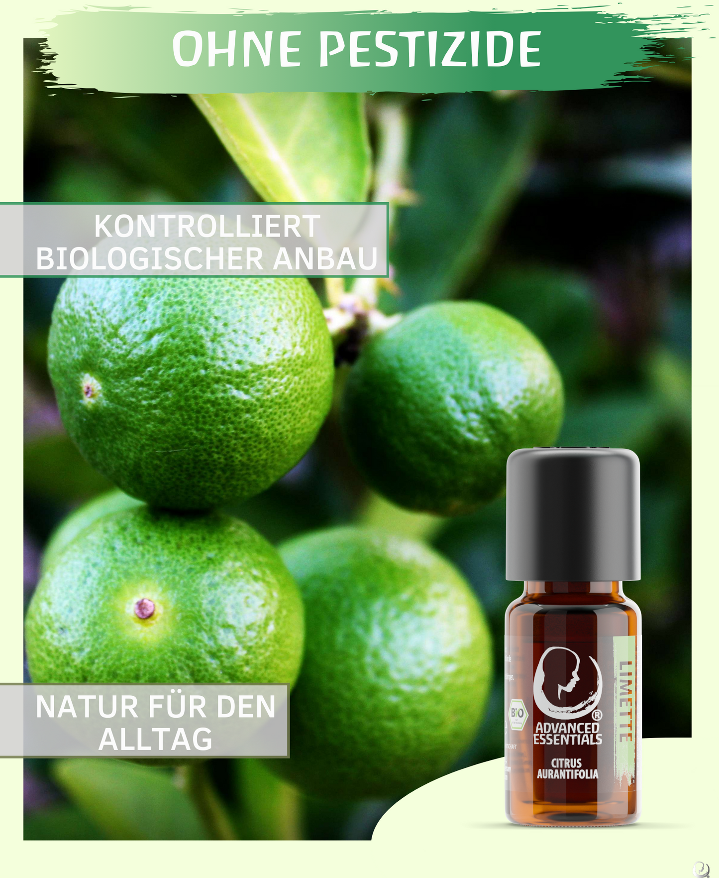 BIO Limettenöl (Citrus aurantifolia) kontrolliert biologischer Anbau ätherisches Limettenlöl bio aus Sri Lanka (Limette, 10ml)
