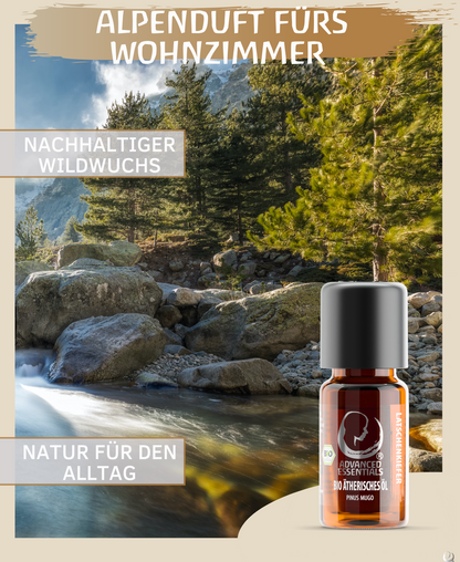 BIO Latschenkieferöl ätherisches Öl (Pinus mugo) Wildwuchs Latschenkiefer bio aus Österreich (Latschenkiefer, 10ml)