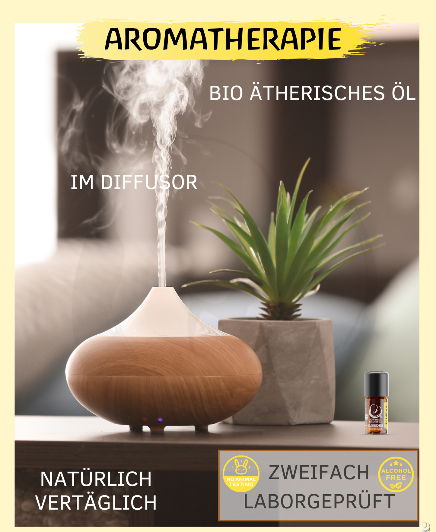 BIO Immortellenöl ätherisches Öl (Helichrysum italicum) italienische Strohblumen aus kontrolliert biologischem Anbau (Immortelle, 5ml)
