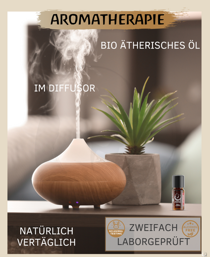 BIO Vanille Extrakt (Vanilla planifolia) kontrolliert biologischer Anbau ätherisches Vanilleöl bio aus Madagaskar (Vanille, 10ml)