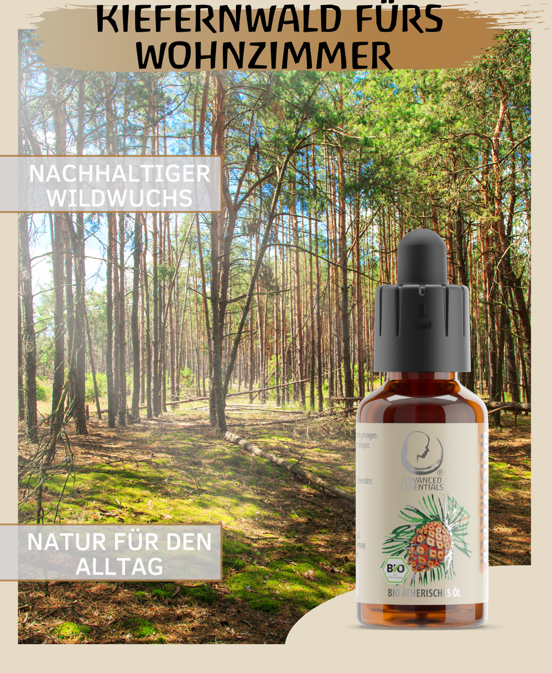 BIO Weißkieferöl ätherisches Öl (Pinus sylvestris) 30ml