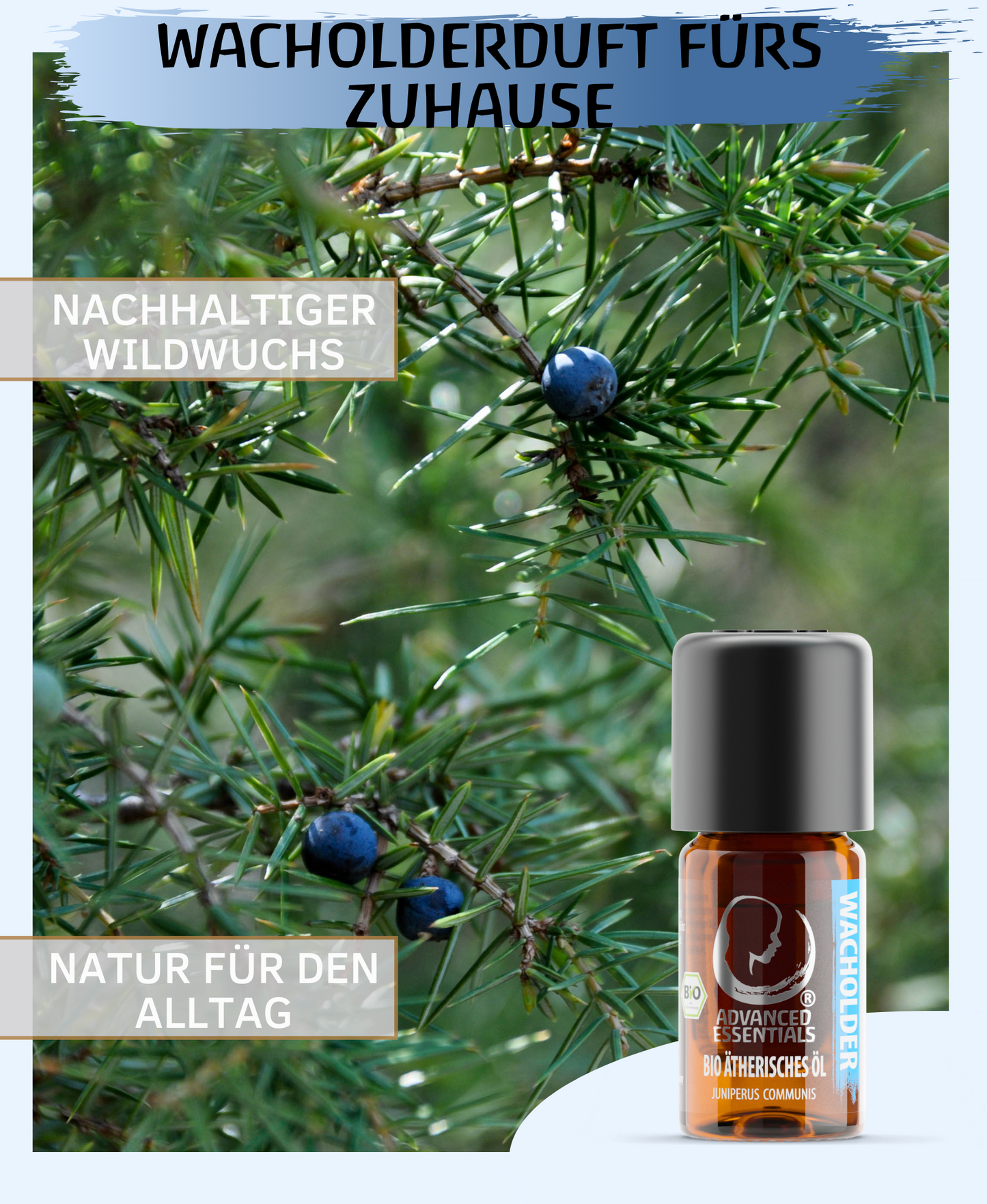 BIO Wacholderöl ätherisches Öl (Juniperus communis) 10ml