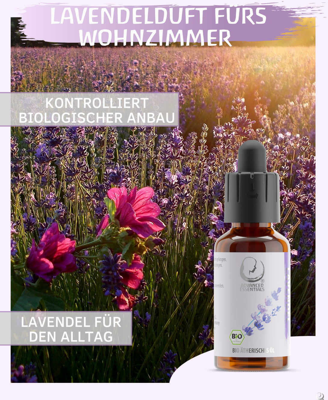 BIO Lavendelöl ätherisches Öl (Lavandula angustifolia) kontrolliert biologischer Anbau Lavendelöl bio aus Bulgarien (Lavendel, 30 ml)