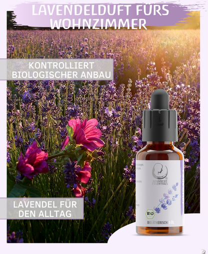 BIO Lavendelöl ätherisches Öl (Lavandula angustifolia) kontrolliert biologischer Anbau Lavendelöl bio aus Bulgarien (Lavendel, 30 ml)