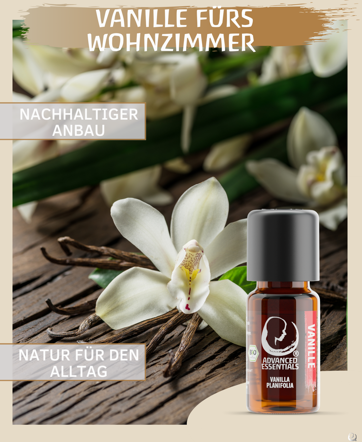 BIO Vanille Extrakt (Vanilla planifolia) kontrolliert biologischer Anbau ätherisches Vanilleöl bio aus Madagaskar (Vanille, 10ml)