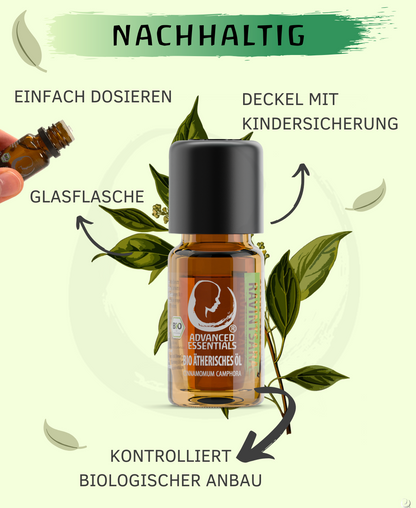 BIO Ravintsaraöl (Cinnamomum camphora)
