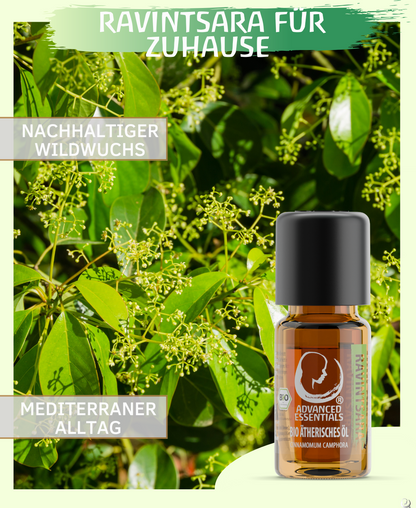 BIO Ravintsaraöl (Cinnamomum camphora)