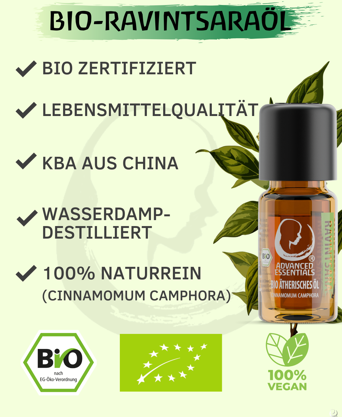 BIO Ravintsaraöl (Cinnamomum camphora)